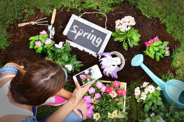 Woman While Using Phone Makes Gardening Colored Flowers Give Color — Stock Photo, Image