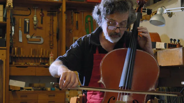 The professional viola master plays the violin with his own hands, uses a pure spruce tree, pine, in the workshop. Concept: spiritual instrument, hand made, art, music, melody, sound, musician.