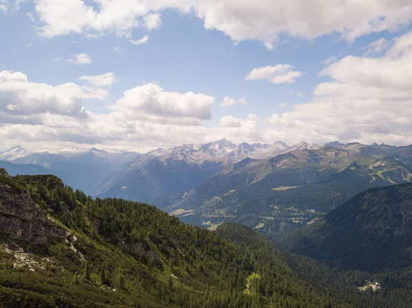 Hermoso Paisaje Del Lago Rodeado Árboles Hierba Hermoso Día Soleado — Foto de Stock