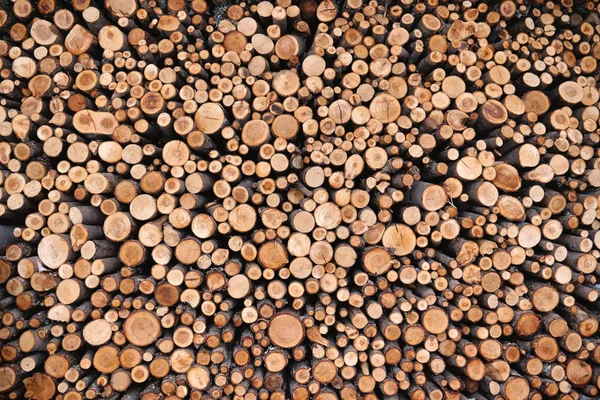 纹理的山的木原木 — 图库照片