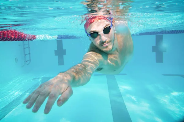 Professional Swimmer Trains Effort Dedication Win Race Swimming Freestyle Pool — Stock Photo, Image