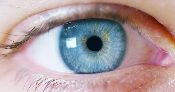 Πυροβολισμό Μακρο Φως Μπλε Ανθρώπινο Μάτι — Φωτογραφία Αρχείου