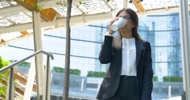 Eine Junge Karrierebewusste Arabische Frau Trinkt Kaffee Internationales Geschäftskonzept — Stockvideo