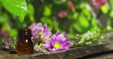 Cam şişe içine bitkisel yaprak damlama su damlası Cinemagraph video 