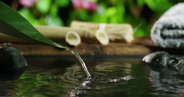 用竹子从绿叶流水蒸汽进入水塘的摄影视频 — 图库视频影像