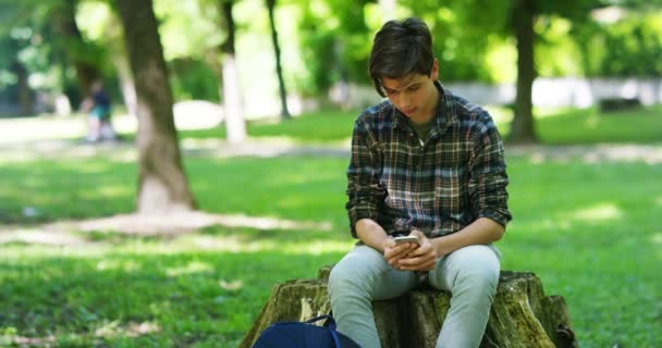公园里少年小学生坐在树桩上浏览手机的视频 — 图库视频影像