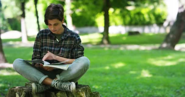 Video Teenager Boy Studying Park Reading While Sitting Tree Stump — Stock Video
