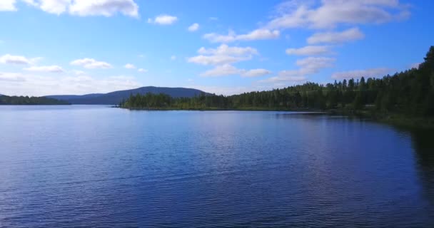 Vídeo Lago Azul Floresta Finlândia — Vídeo de Stock