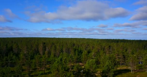 Vidéo Aérienne Ciel Bleu Nuageux Des Arbres Forestiers — Video