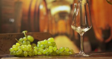 Sommelier cam yavaş İtalyan beyaz şarap dökme bağ içinde