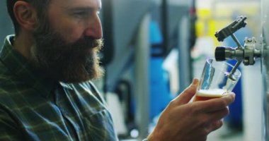 ağır çekim video, bira cam dökme yakışıklı sakallı barmen bira musluk çubuğundan