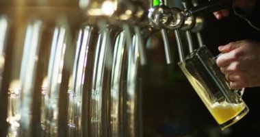 barmen bardakta Bira döküyor video, kırpılmış görüntü bar 
