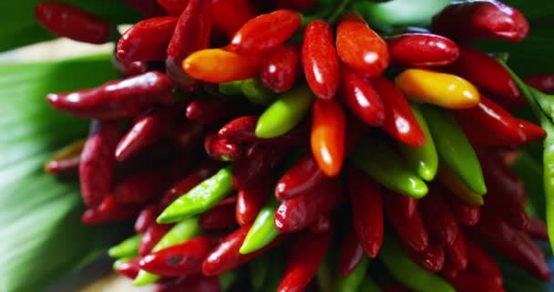 Calabrian Chili Güvertede Yaklaşan Organik Sağlıklı Talyanca Hakiki Hafif Yemek — Stok video