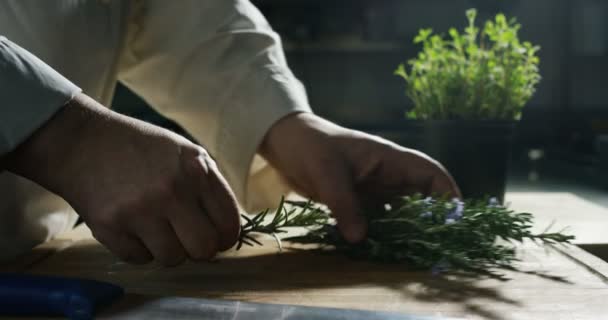 Experto Chef Prepara Romero Fresco Para Receta Especial Una Cocina — Vídeo de stock