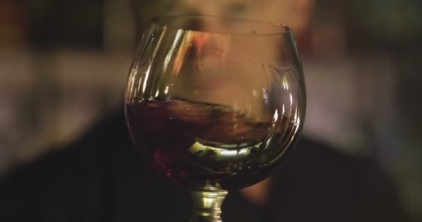 スローモーションでガラスの中で赤ワインを振るワイナリーの男 — ストック動画