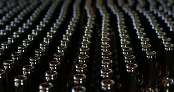 Video Many Brown Glass Bottles Manufacture — Stock Video