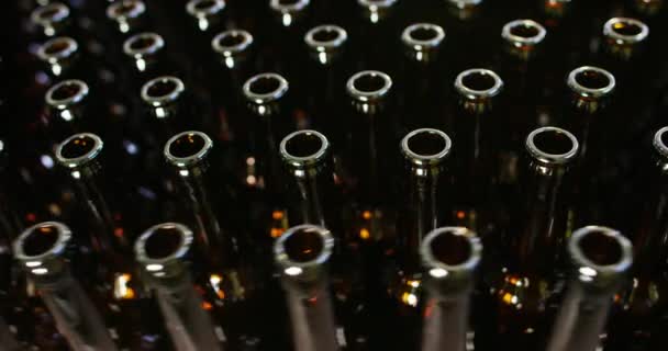 Video Muchas Botellas Cerveza Vidrio Marrón Transportador — Vídeo de stock