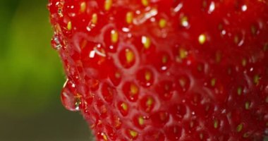 ıslak taze kırmızı çilek doku video kapatın 