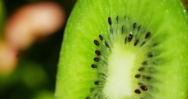 Yakın çekim veya makro bir dilim kivi, ağır çekimde bir damla su düşüyor. Meyve tazelik verir ve suyu vitamin ve enerji açısından zengin ile doldurulur. Taze meyve, meyve suları ve kivi kavramı