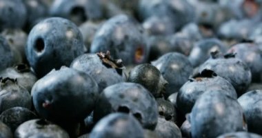 taze meyve kompozisyon, çilek, elma, yaban mersini, ahududu, kivi, portakal ile karıştırın. Yaz aylarında yemek için taze ve egzotik tropik meyve salatası. Renkler, tazelik, vitaminler ve tat patlama