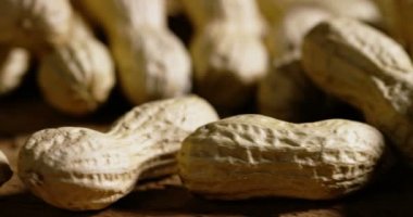 Makro video çekim Fındık ceviz, Kuru 