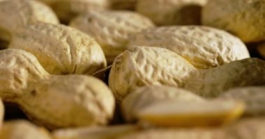 Makro video çekim Fındık ceviz, Kuru 