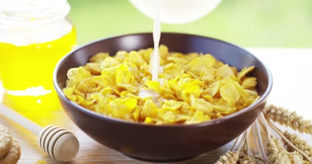 Una Giornata Sole Giardino Versa Cereali Una Tazza Dove Cereali — Video Stock