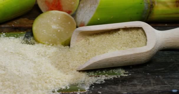 Macro Shot Composition Sugar Cane Sugar Cubes Sugar Raw Granules — Stock Video