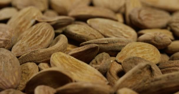 Vidéo Noix Amandes Séchées Brunes — Video