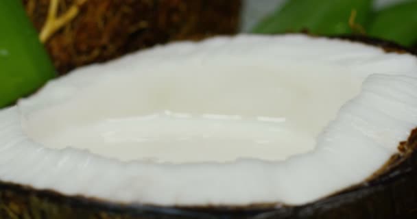 ミルクを一滴しずく植物の背景に おいしい新鮮な栄養価の高いココナッツ ミルクセーキに概念 役に立つビタミン バイオ タンパク質 — ストック動画
