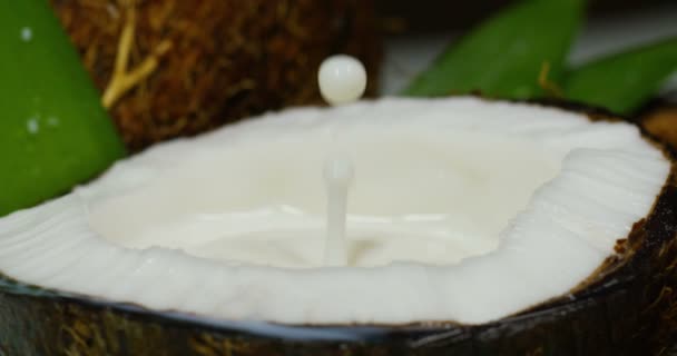 Une Goutte Lait Goutte Dans Délicieux Milkshake Noix Coco Nutritif — Video