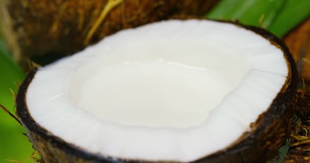 ミルクを一滴しずく植物の背景に おいしい新鮮な栄養価の高いココナッツ ミルクセーキに概念 役に立つビタミン バイオ タンパク質 — ストック動画