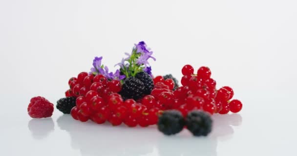 Hand Young Farmer Shake Controls Berries Traditional Composition Background Italian — Stock Video