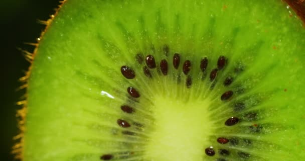 Närbild Eller Makro Skiva Kiwi Droppe Vatten Faller Slow Motion — Stockvideo