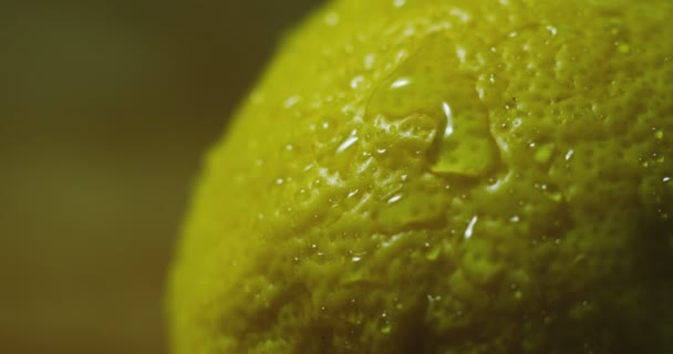 クローズ アップやレモンのスライスのマクロ 水を一滴落ちるスローモーションで フルーツは ジュースの充填と新鮮さを放ちます 新鮮なフルーツ カクテル レモン ジュース イタリア語の概念 — ストック動画