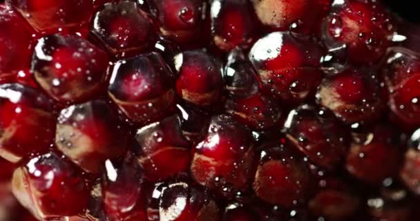 Vídeo Grãos Romã Suculentos Vermelhos Com Gotas Água — Vídeo de Stock