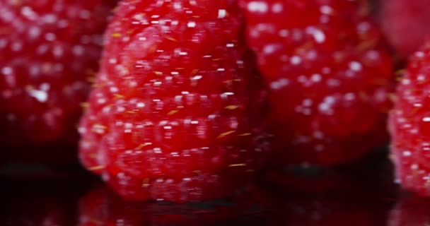 Video Fresh Wet Red Raspberries — Stock Video