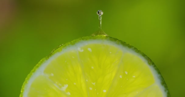 Nahaufnahme Video Von Zitronenscheibe Und Wassertropfen Die Nach Oben Fallen — Stockvideo