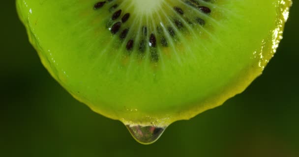 Cerca Macro Una Rebanada Kiwi Una Gota Agua Cae Cámara — Vídeo de stock