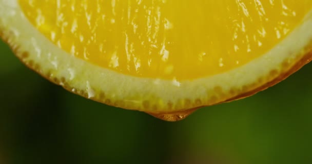 Cerca Macro Una Rebanada Naranja Una Gota Agua Cae Cámara — Vídeo de stock