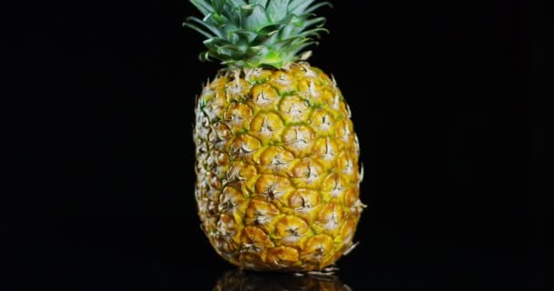 整个新鲜菠萝的视频在黑色背景 — 图库视频影像