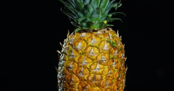 Video Färsk Ananas Svart Bakgrund — Stockvideo