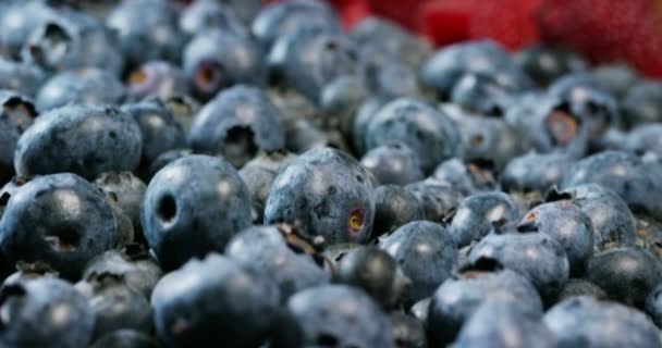 新鲜水果的混合组成 与草莓 猕猴桃 新鲜和异国情调的热带水果 在夏天吃沙拉 新鲜度 维生素 品味的爆炸式增长 — 图库视频影像