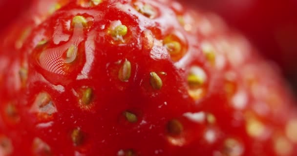 ウェット新鮮な赤いイチゴ テクスチャのマクロ動画 — ストック動画