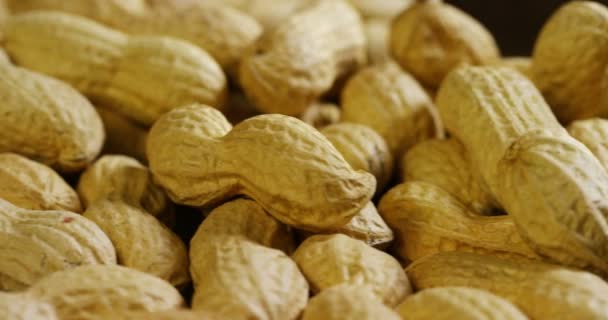 Macro Video Shot Walnuts Dried Nuts — Stock Video