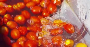 video, kırmızı domates yıkama 
