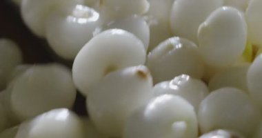 düşen beyaz soğan yavaş hareket video, tam kare 