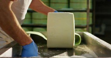 Süt ve Parmesan bir tür yapmak için Lor peynir sektöründe ana Peynirci'ye karışımları: Peynirci'ye eski İtalyanca geleneğe göre öyle. Konsept: Sanayi, Parmesan, gelenek