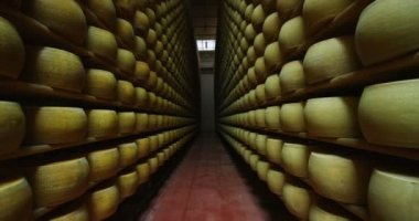 raflarda Parmesan peyniri ile fabrika video