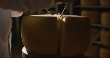 Süper ağır çekim orta yaşlı peynir maker'ın İtalyan Parmesan peynir/kahvaltilari Reggiano kalite kontrol için tekerlek keser (yakın)